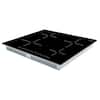 Forno Parco 4 Element Glass Top Black 24-in. Induction Cooktop